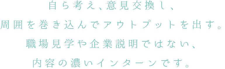 インターンの特徴説明文